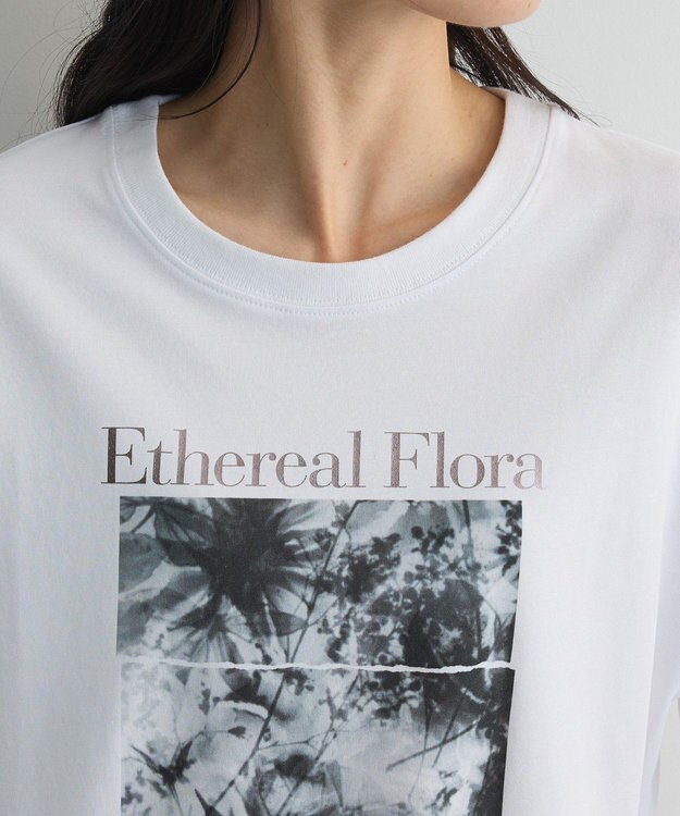 Green Parks フォトグラフィック半袖Ｔシャツ Brown