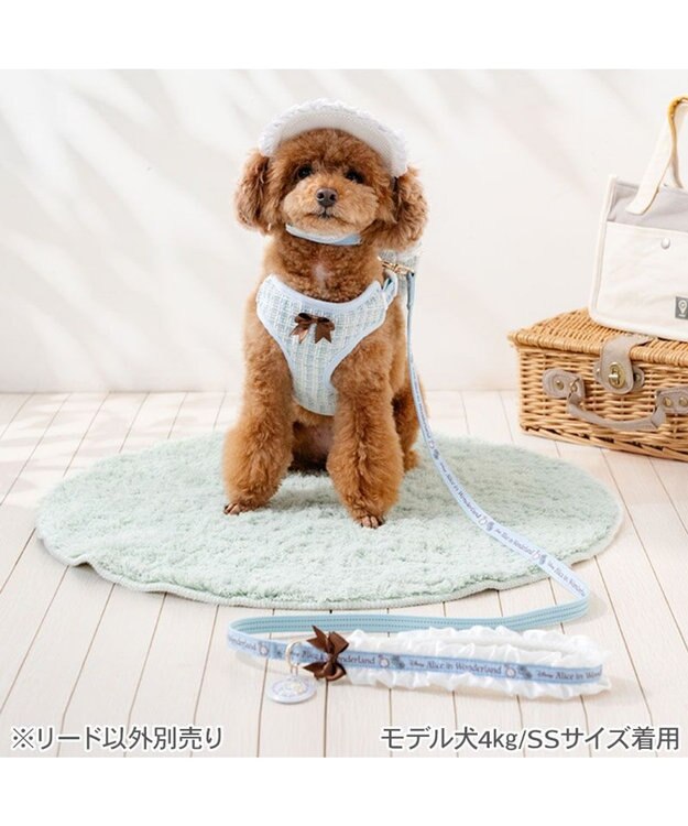 PET PARADISE ディズニー アリス フリルリード ＳＳ～Ｓ ブルー
