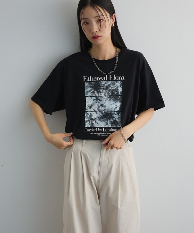 Green Parks フォトグラフィック半袖Ｔシャツ Brown