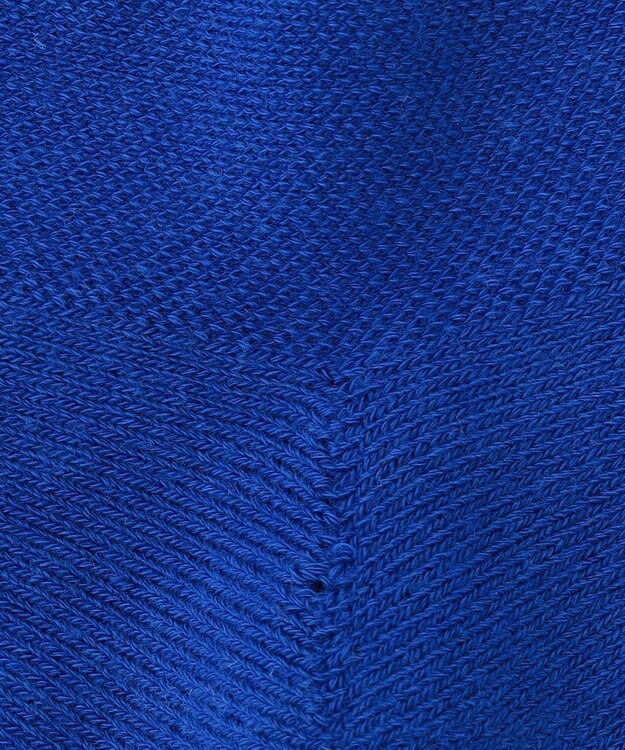 PW CIRCULUS 【虫よけ加工】【WOMEN】P-MOF ソックス ミドル丈 ゴルフウェア レディース スカイブルー系