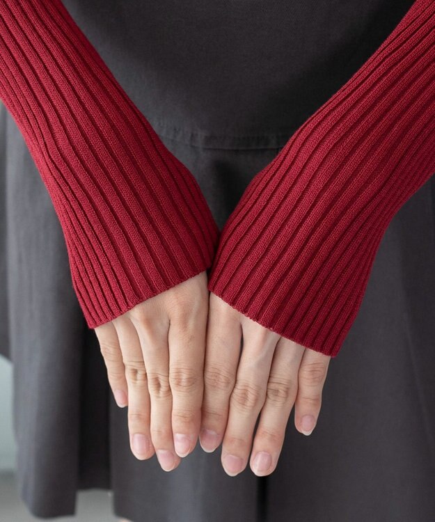 WEGO 【2025年秋冬新作】リブハイネックショートニット レッド