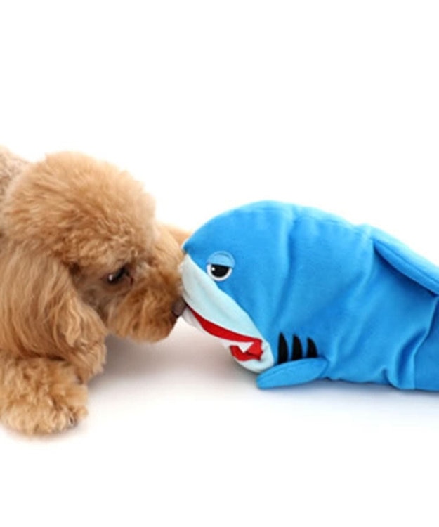 PET PARADISE  ペットパラダイス  パペット トイ サメ 水色