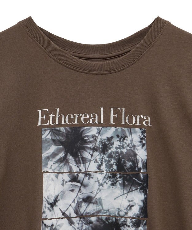 Green Parks フォトグラフィック半袖Ｔシャツ Brown