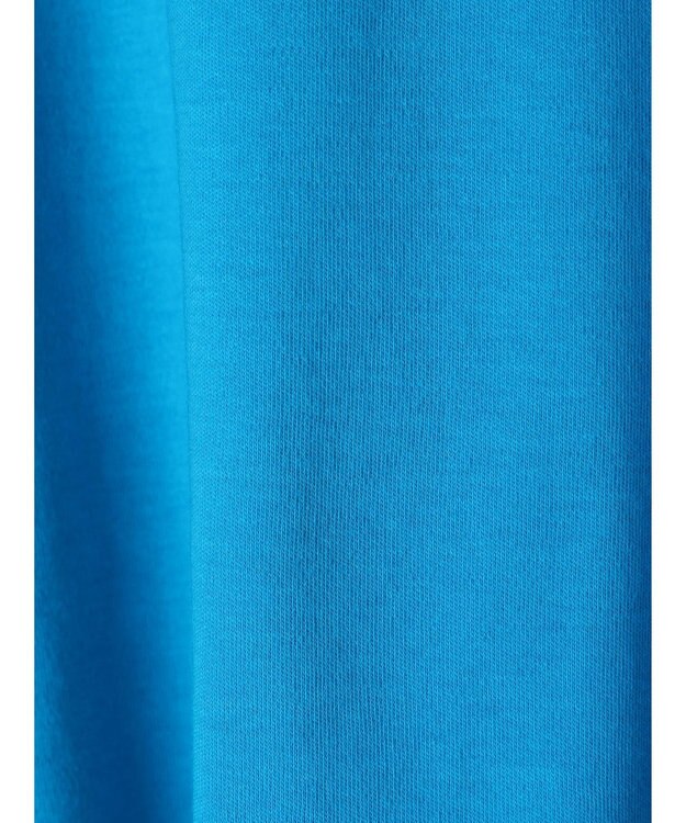 AMERICAN HOLIC フレアヘムフレンチスリーブカットプルオーバー Blue