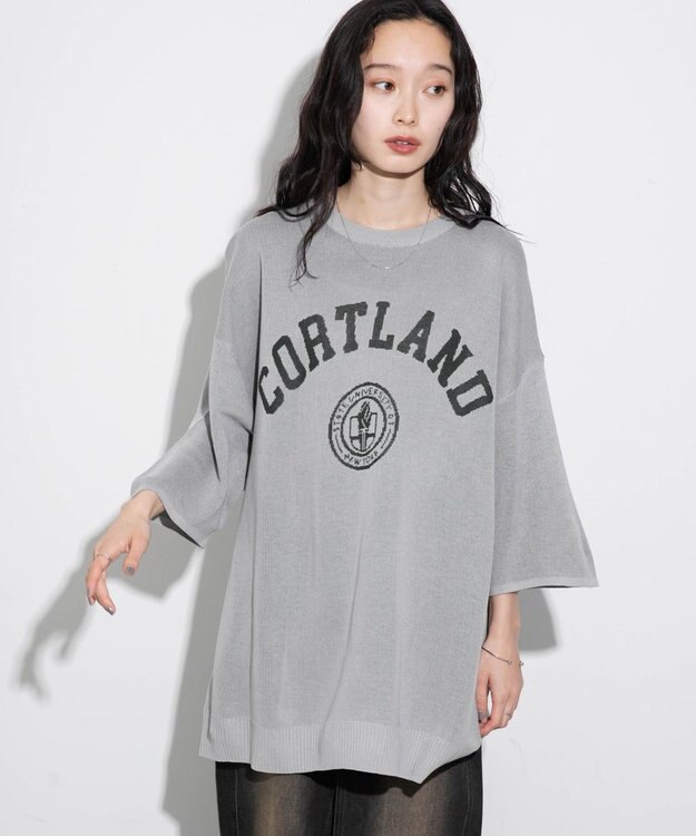 WEGO 【ユニセックス着用ITEM】ジャガードニットプルオーバー（S） グレー