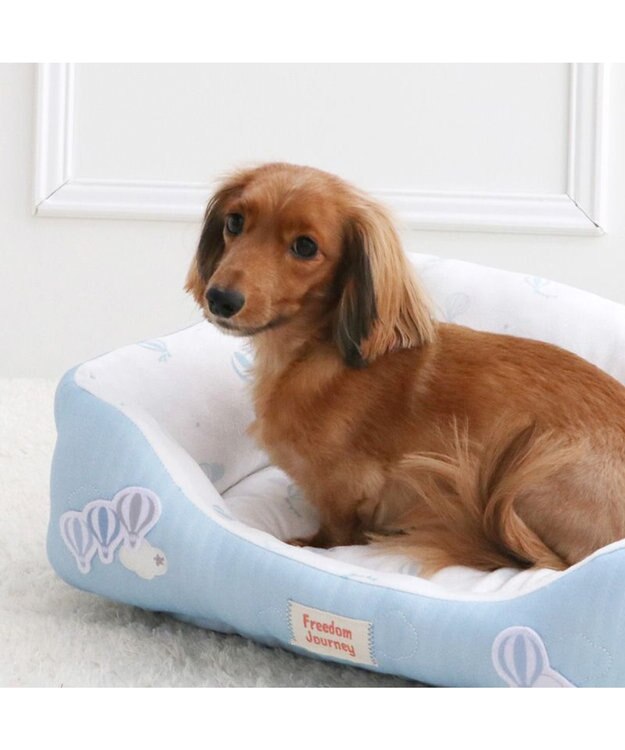 PET PARADISE ペットパラダイス やさしいカドラー  《気球柄》M ライトブルー