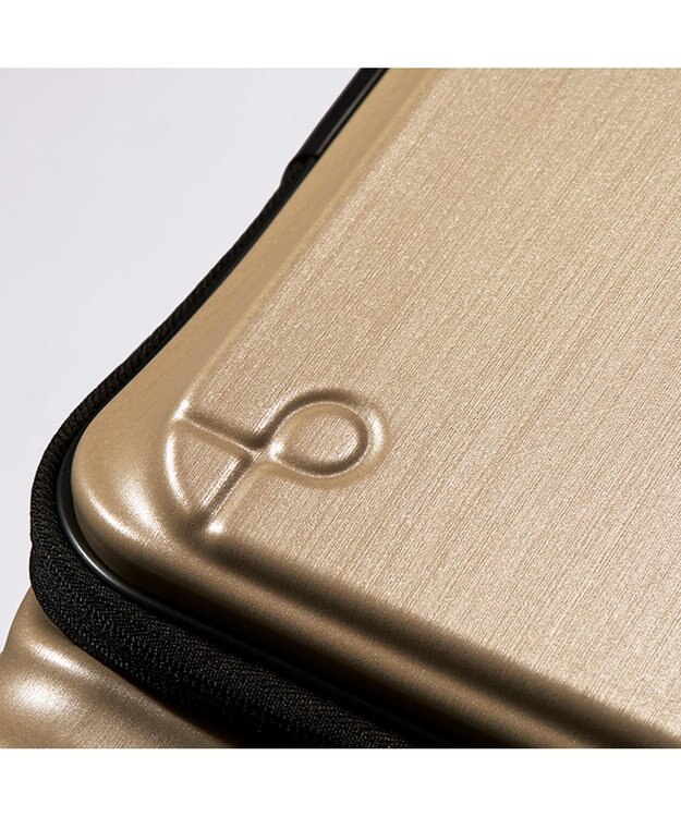 ACE BAGS & LUGGAGE Proteca フレスターEX スーツケース 日本製 36/45L エキスパンド フロントオープン 01551 プロテカ ゴールドヘアライン