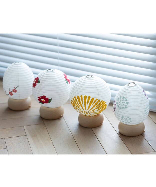 ちょうちん堂 【きもち】HITAMUKI 菊 ちょうちん ライト ホワイト