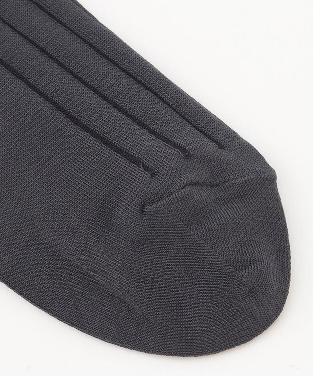 J.PRESS MEN 【定番】ハイゲージワイドストライプ リブソックス グレー系