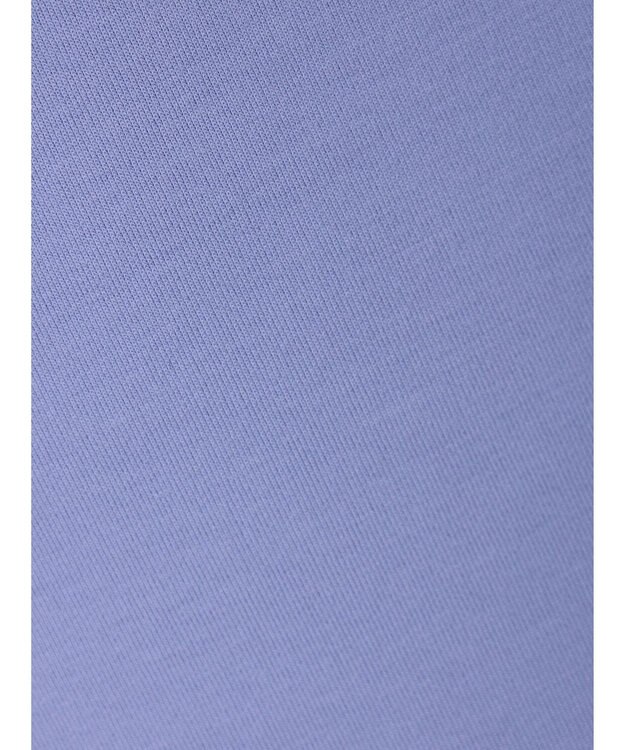 Green Parks ダンボールＩラインスカート Lavender