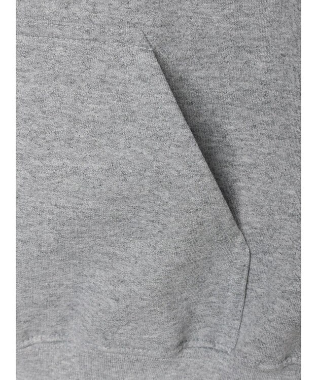 Green Parks ●ＤＯＯＮＡ　ＤＲＥＡＭ　ＳＷＥＥＴ　パーカー Gray