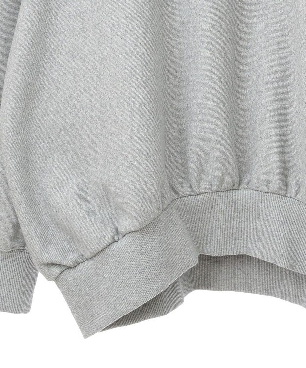 AMERICAN HOLIC ＮＥＢＲＡＳＫＡロゴプリントスウェット③ Light Gray Mixture