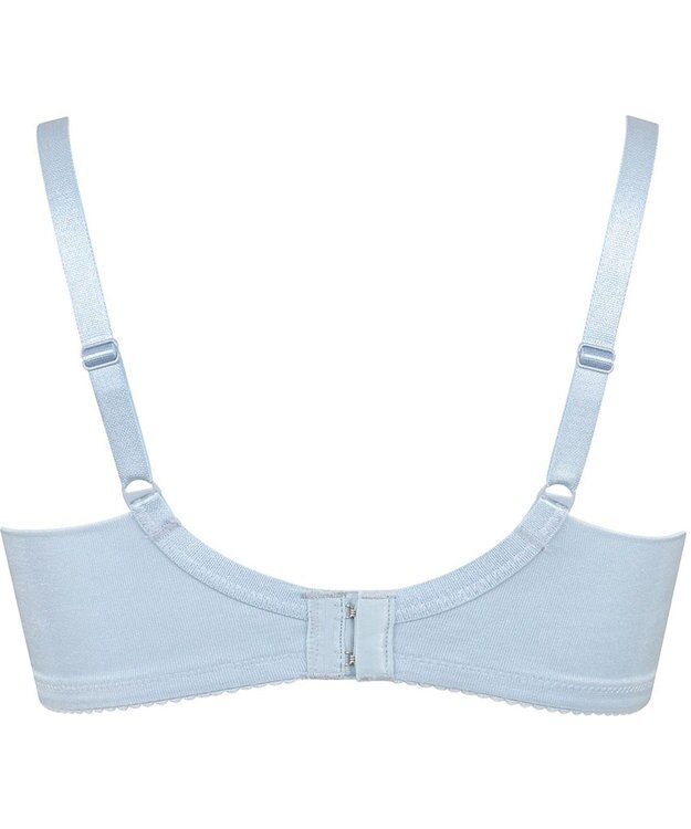 WACOAL 【小さく見せるブラ】 シンプル ブラジャー 着やせ効果 コンパクトにメイク バストの突出をおさえる 背中の段差を軽減 大きいサイズ レディース BRB452 /ワコール ブルー