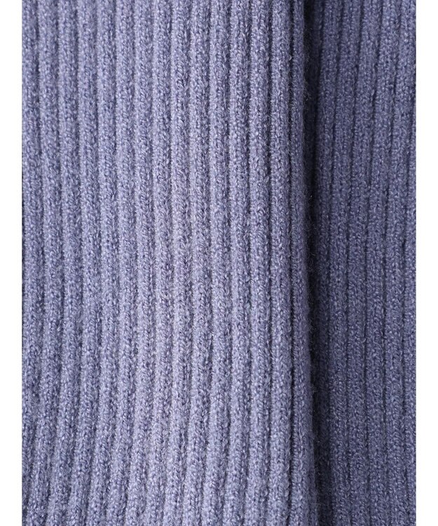 earth music&ecology やわらかタッチリブタートルネックプルオーバー Blue