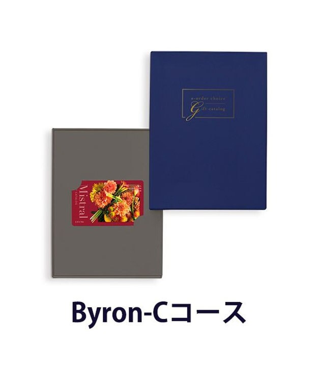 antina gift studio Mistral(ミストラル) e-order choice(カードカタログ) ＜Byron(バイロン)＞ -