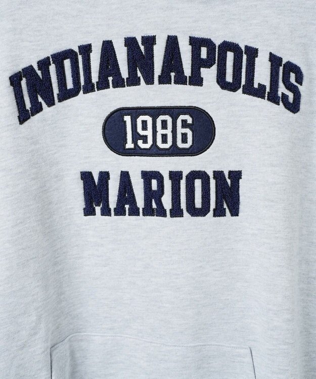 WEGO ヘビーウエイトサガラカレッジプルパーカー グレー