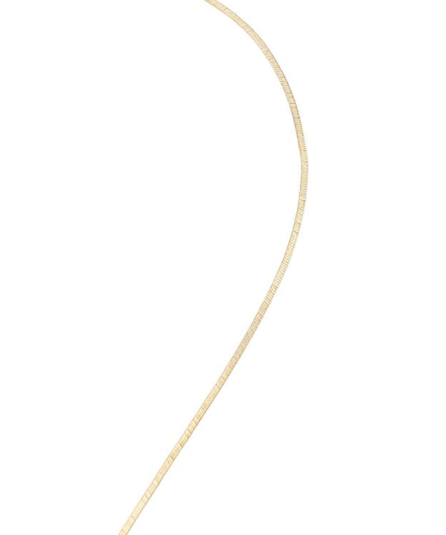 Green Parks ｅｖｅｒｙ　ｗａｌｋ．　ループタイネックレス Gold