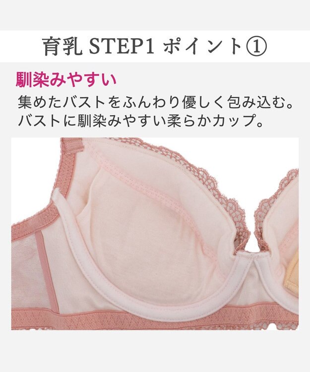 BRADELIS New York 【BRADELIS New York / 育乳補整ブラ・STEP1 集める】ウェンディステップ1ブラ26S1 補正下着 ブラジャー ダスティローズ