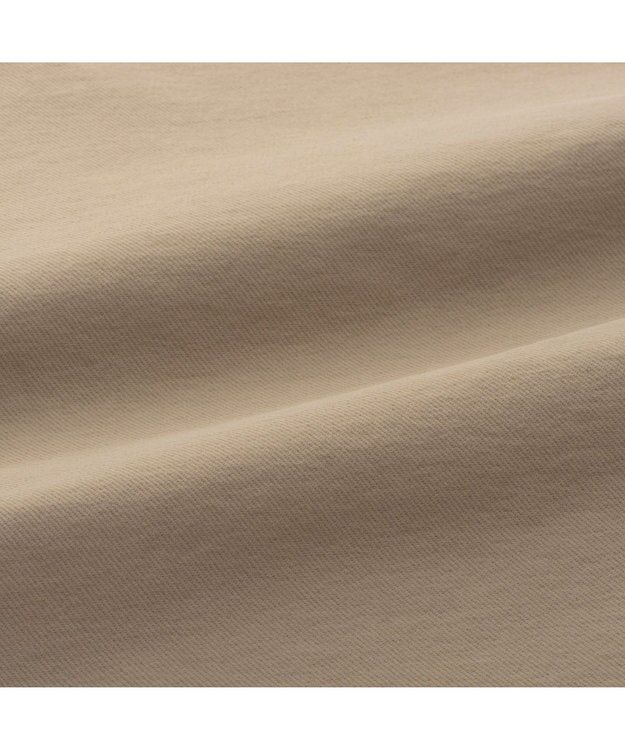 ZERO HALLIBURTON 【裏起毛】 バックフラッシュパンツ ZHG-W4A 10 82885 ゴルフウェア ベージュ