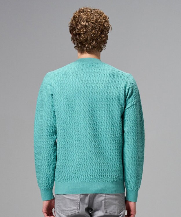 JOSEPH HOMME 新柄【イージーケア】 ヴィスコースリンクス　モックネックニット スモーキーグリーン系