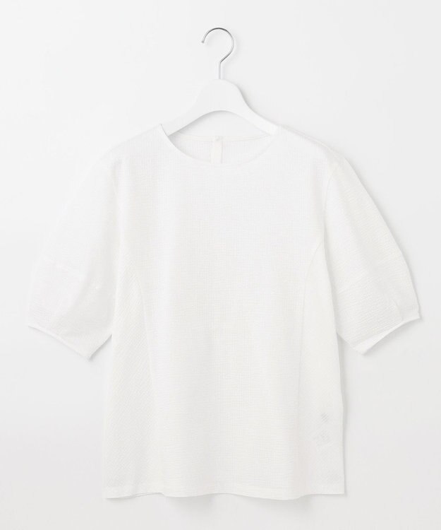 J.PRESS LADIES L 【WEB限定カラーあり・抗菌消臭・吸水速乾】サッカージャージー ボリュームスリーブ カットソー ホワイト系