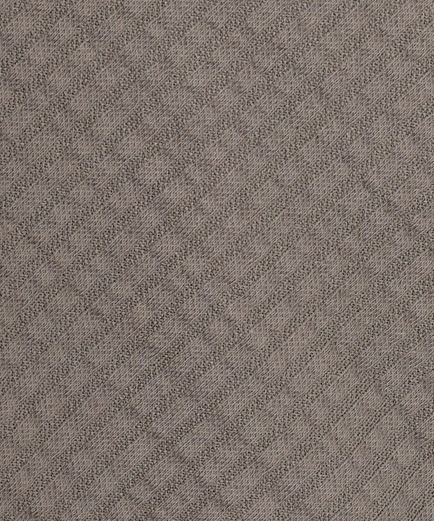 J.PRESS LADIES L 【WEB限定カラーあり・抗菌消臭・吸水速乾】サッカージャージー ボリュームスリーブ カットソー ブラウン系