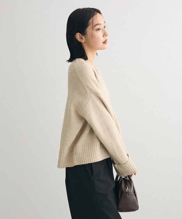 Green Parks ラメＶネックコンパクトニットプルオーバー Beige