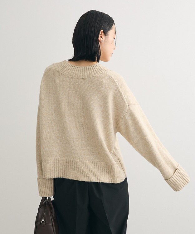 Green Parks ラメＶネックコンパクトニットプルオーバー Beige