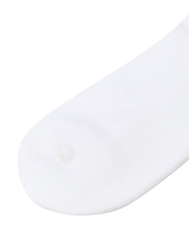 DAKS 【DAKS GOLF】綿混パイルソックス ホワイト