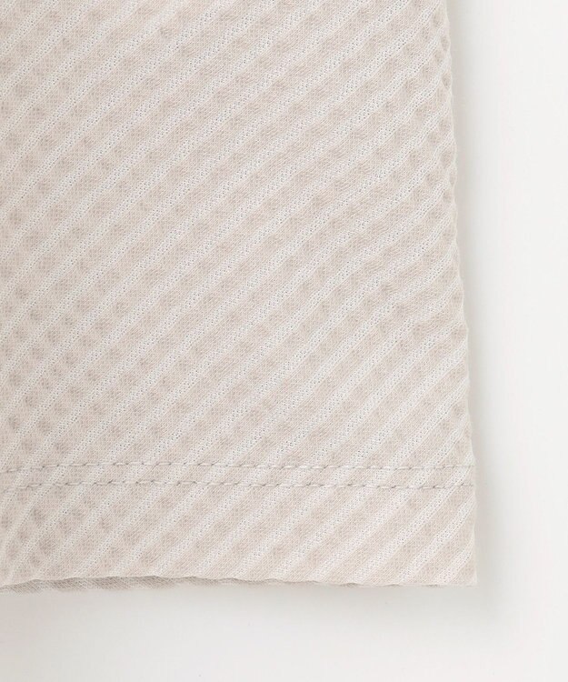 J.PRESS LADIES L 【WEB限定カラーあり・抗菌消臭・吸水速乾】サッカージャージー ボリュームスリーブ カットソー ベージュ系1