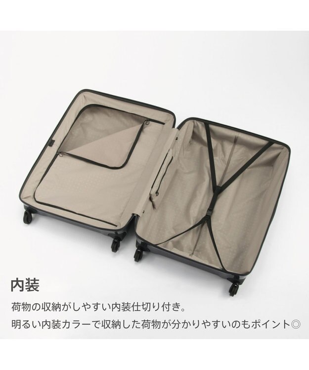 ACE BAGS & LUGGAGE Proteca トリアクシス3 スーツケース 93L 02494 プロテカ ガンメタリック