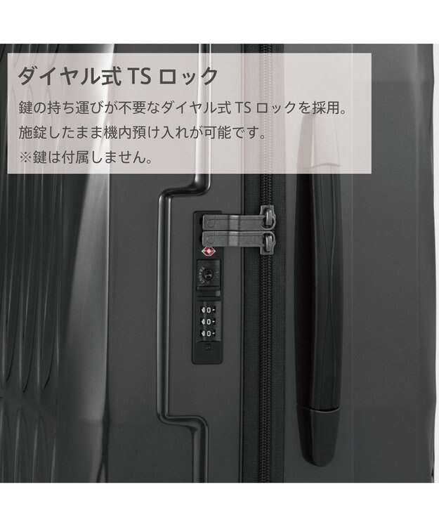 ACE BAGS & LUGGAGE Proteca トリアクシス3 スーツケース 93L 02494 プロテカ ガンメタリック