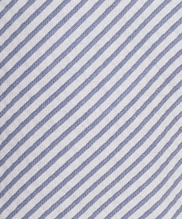 J.PRESS LADIES L 【WEB限定カラーあり・抗菌消臭・吸水速乾】サッカージャージー ボリュームスリーブ カットソー ブルー系1