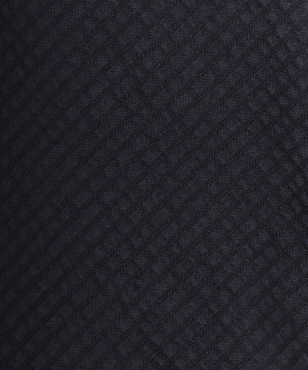 J.PRESS LADIES L 【WEB限定カラーあり・抗菌消臭・吸水速乾】サッカージャージー ボリュームスリーブ カットソー ネイビー系