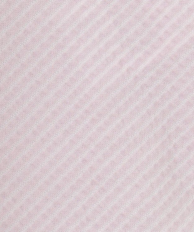 J.PRESS LADIES L 【WEB限定カラーあり・抗菌消臭・吸水速乾】サッカージャージー ボリュームスリーブ カットソー ふじ色系1