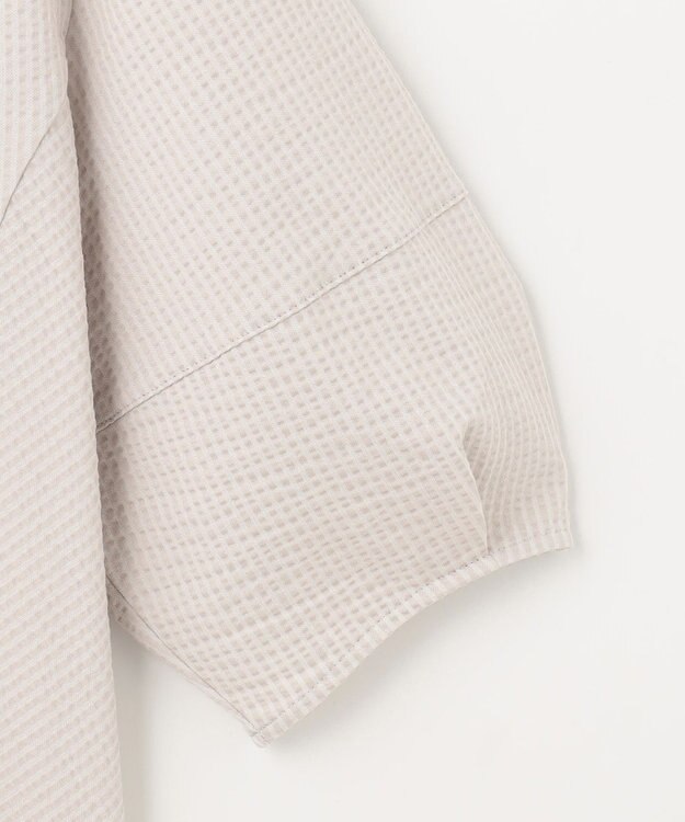 J.PRESS LADIES L 【WEB限定カラーあり・抗菌消臭・吸水速乾】サッカージャージー ボリュームスリーブ カットソー ベージュ系1