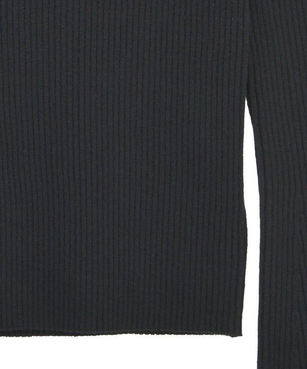 Green Parks 前後２ｗａｙアシンメトリー袖フレアリブニット Black