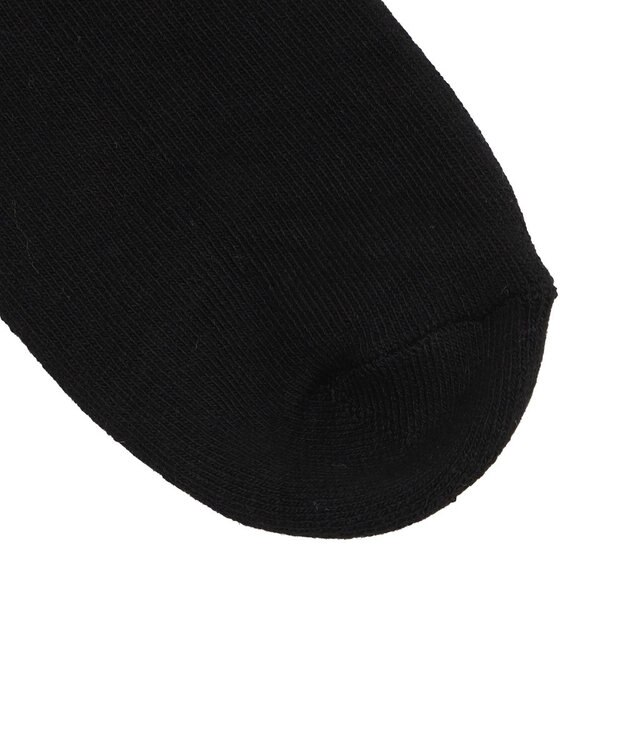 WEGO ラインロゴハイアンクルソックス ブラック