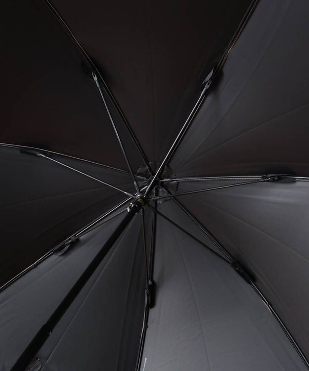 AURORA BLAO（ブラオ）オーガンジー切継ぎ晴雨兼用傘（1段スライドショート傘） ベージュ