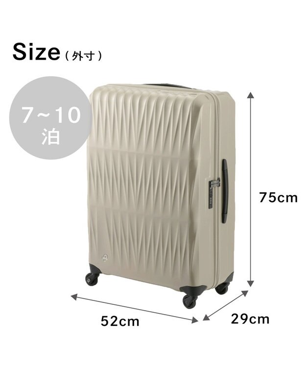 ACE BAGS & LUGGAGE Proteca トリアクシス3 スーツケース 93L 02494 プロテカ スターゴールド
