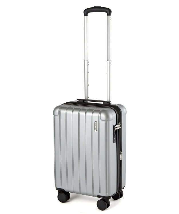 ACE BAGS & LUGGAGE RIMINI フラミニア スーツケース 機内持込み 32L 05121 リミニ エース シルバー