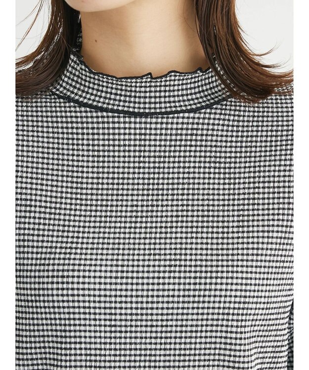 Green Parks 表面感ハイネックプルオーバー Gingham Check