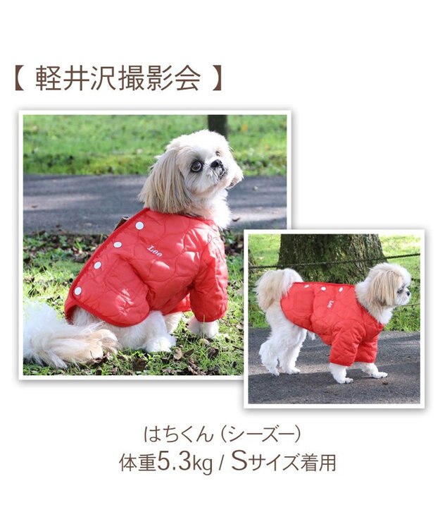 PET PARADISE Lee 背中開き ジャケット 《オレンジ》 小型犬 オレンジ