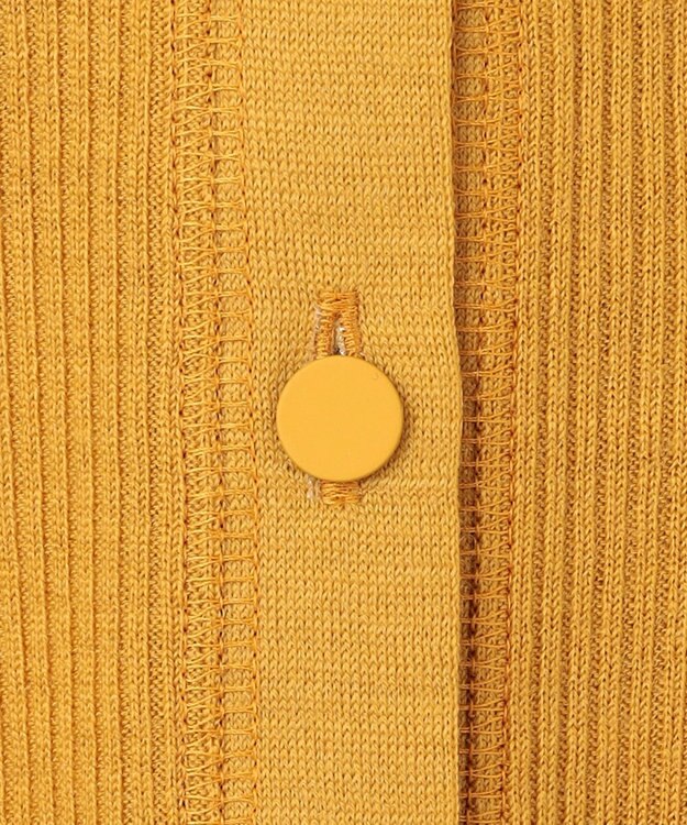 BEIGE， 【洗える・GISELe 10月号掲載】FORD / ウール配色メローヘンリーネックカットソー Mustard