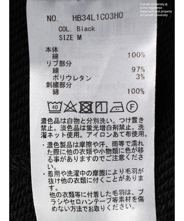 AMERICAN HOLIC Ｃｏｒｎｅｌｌ　ＵｎｉｖｅｒｓｉｔｙＲ　スウェットパーカー Black