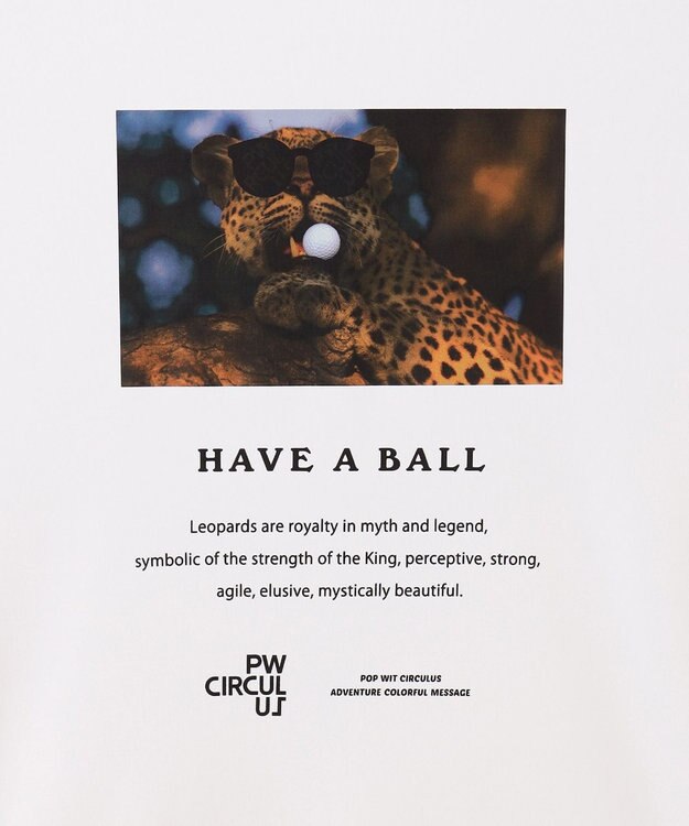 PW CIRCULUS 【UNISEX】【ストレッチ/UVケア/接触冷感/防透】バック フォト Tシャツ ホワイト系1