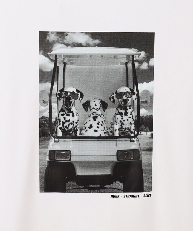 PW CIRCULUS 【UNISEX】【ストレッチ/UVケア/接触冷感/防透】バック フォト Tシャツ ホワイト系