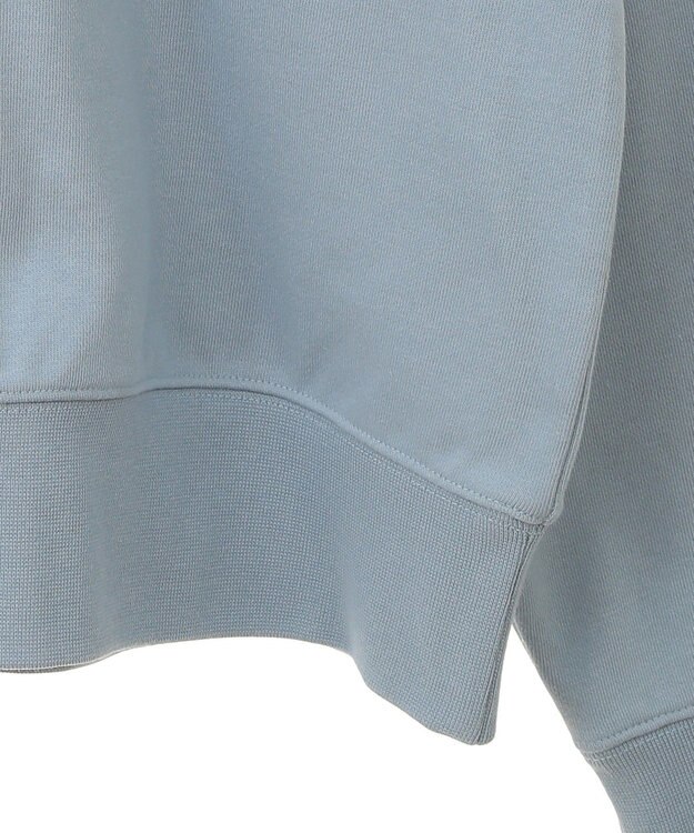 AMERICAN HOLIC ＭＩＣＨＩＧＡＮ　ラグランスウェット Sax