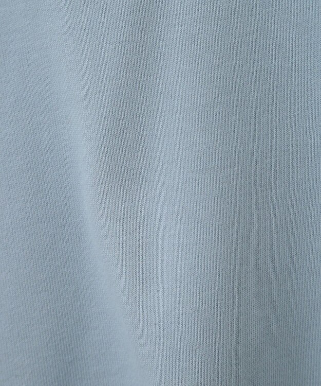 AMERICAN HOLIC ＭＩＣＨＩＧＡＮ　ラグランスウェット Sax