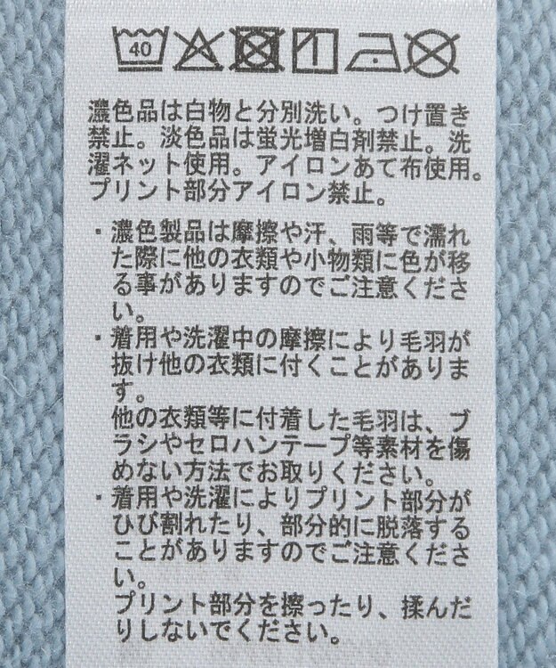 AMERICAN HOLIC ＭＩＣＨＩＧＡＮ　ラグランスウェット Sax